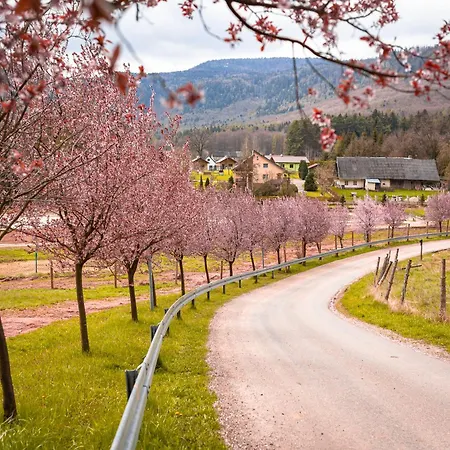 Pod Ratuszem I Lägenhet *