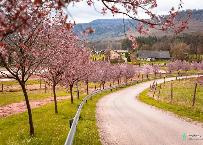 Pod Ratuszem I Lägenhet *
